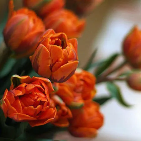 Hotell Du Cheval Blanc