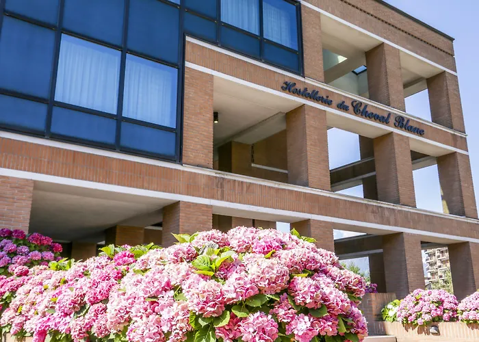 Du Cheval Blanc Hotel